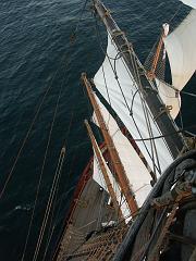 080508_Roald_Amundsen 328